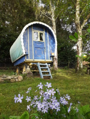 Retraite rustique en bordure de forêt à la campagne